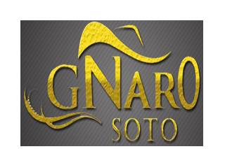 GNaro Soto logo
