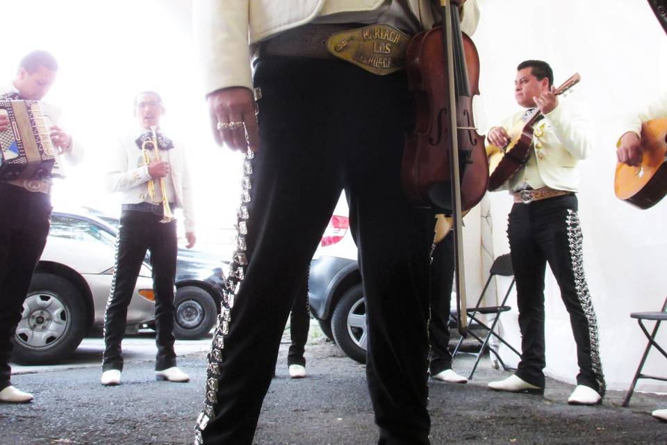 Violín