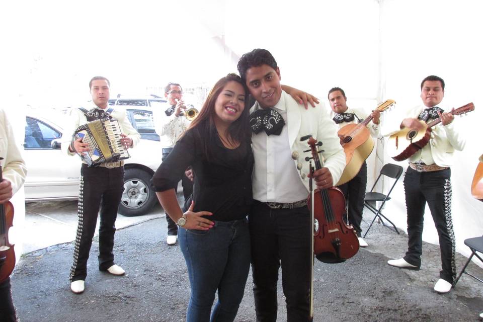 Violín