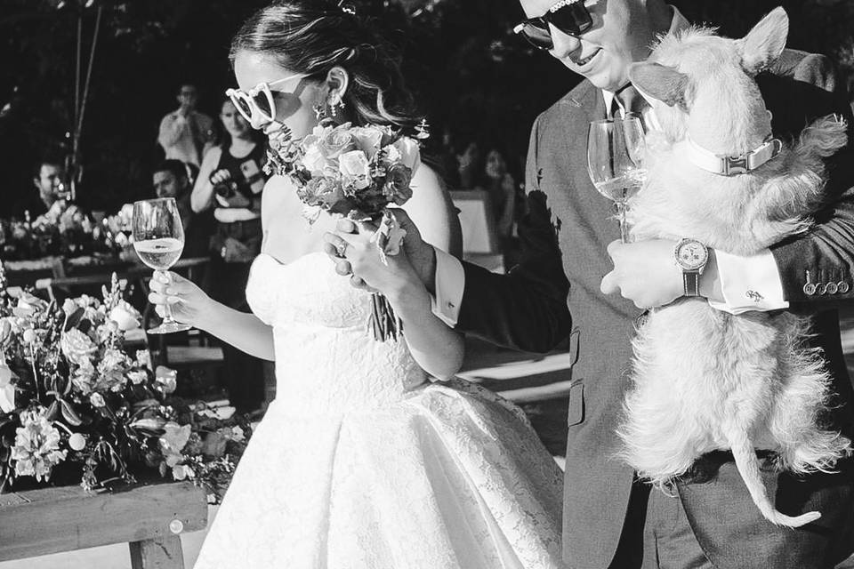 Entrada novias salón