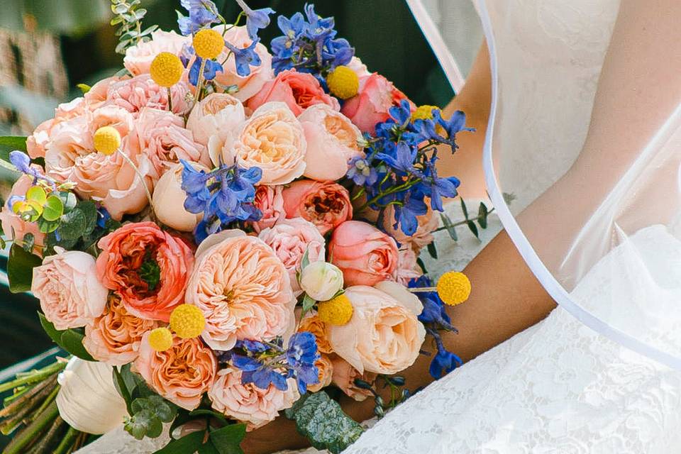 Flores