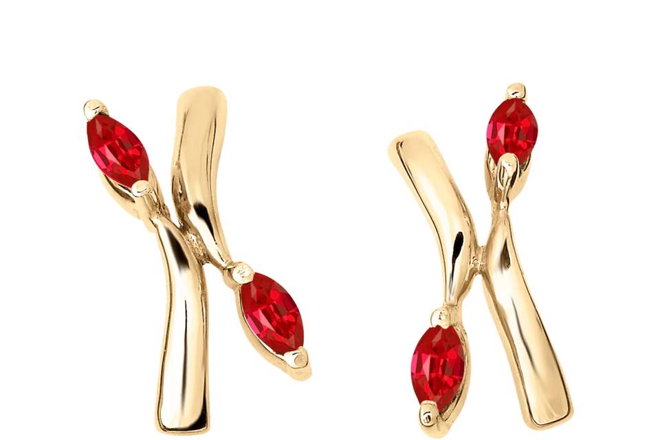 Aretes Danna