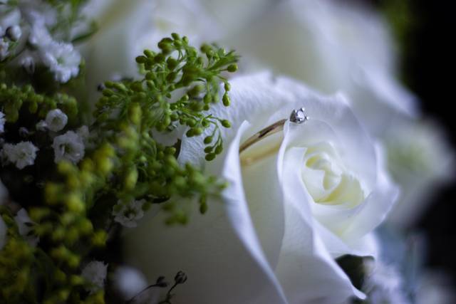 Nando Luna Photography