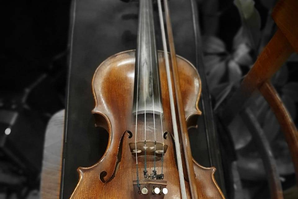 Violinsax elegance
