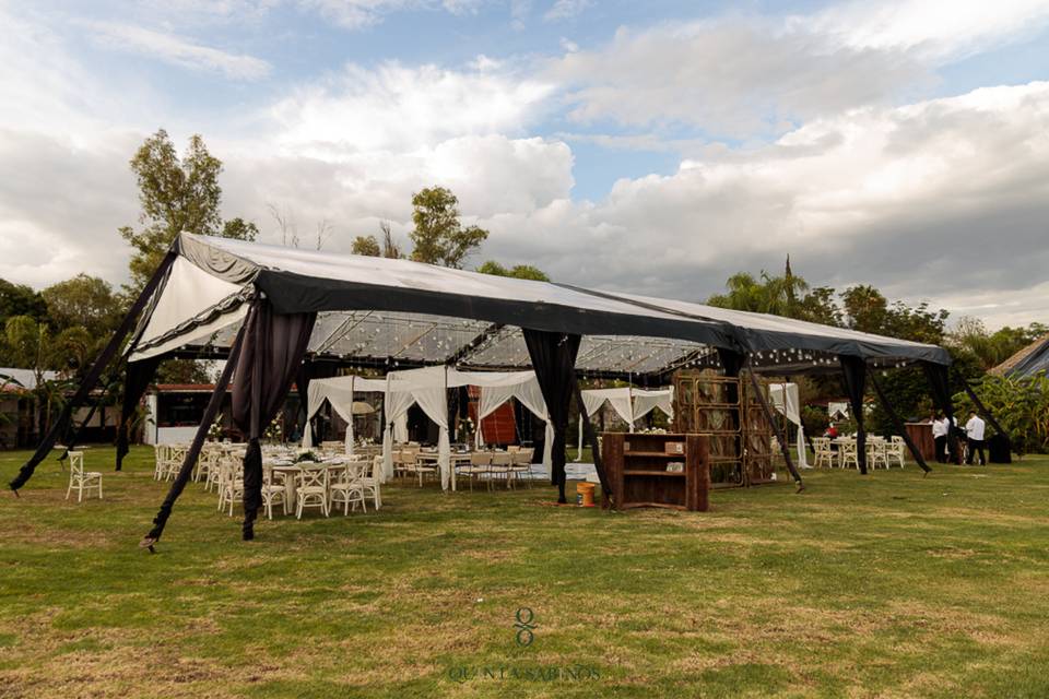 Carpa transparente