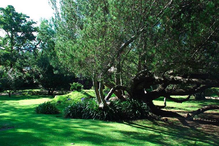 Jardín Maja