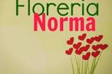 Florería Norma logo