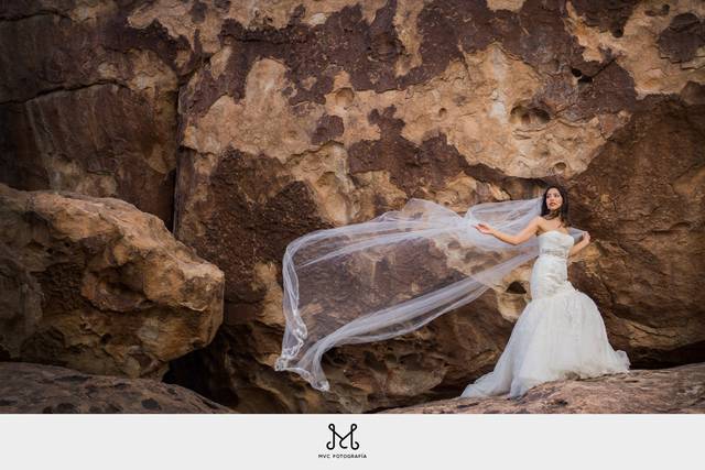 Trash the dress