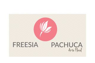 Freesia Pachuca