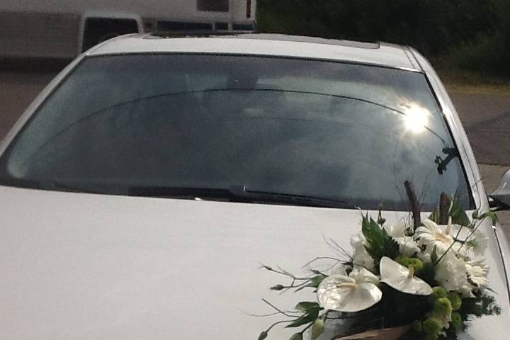 Adornos coche
