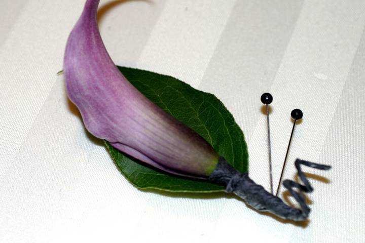 Boutonniere