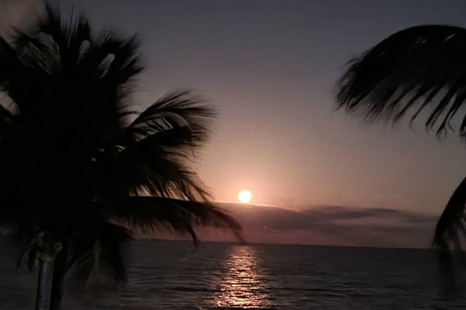 Full Moonrise