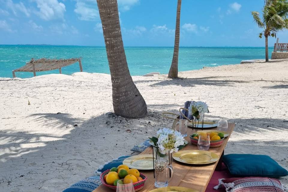 Pic Nic