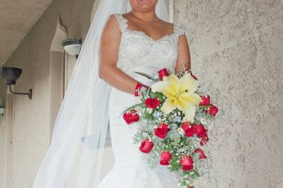 Hermosa novia