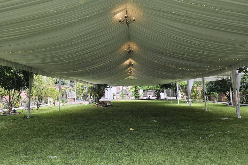 Carpa cielo libro