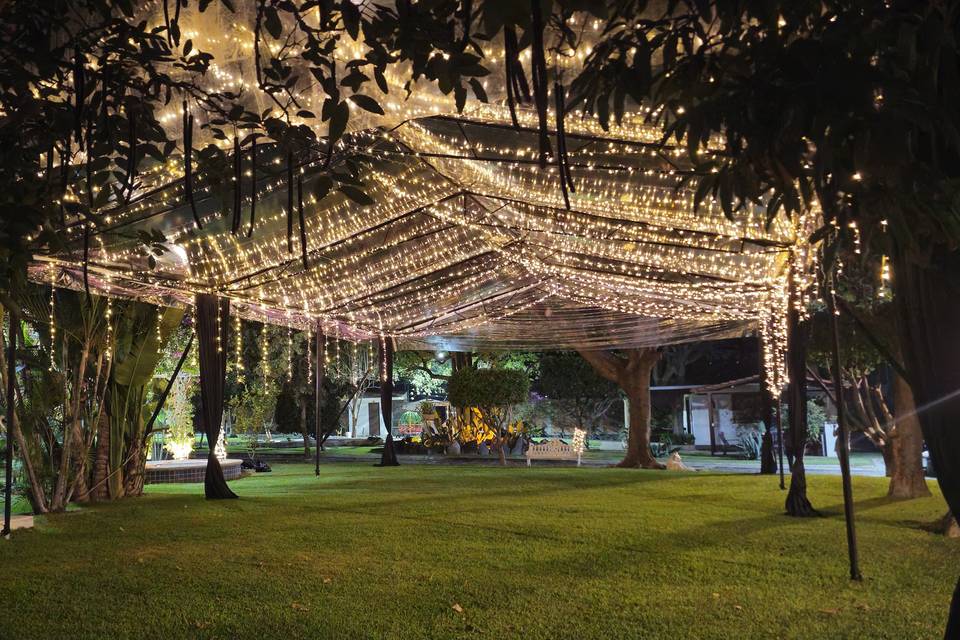 Carpa transparente