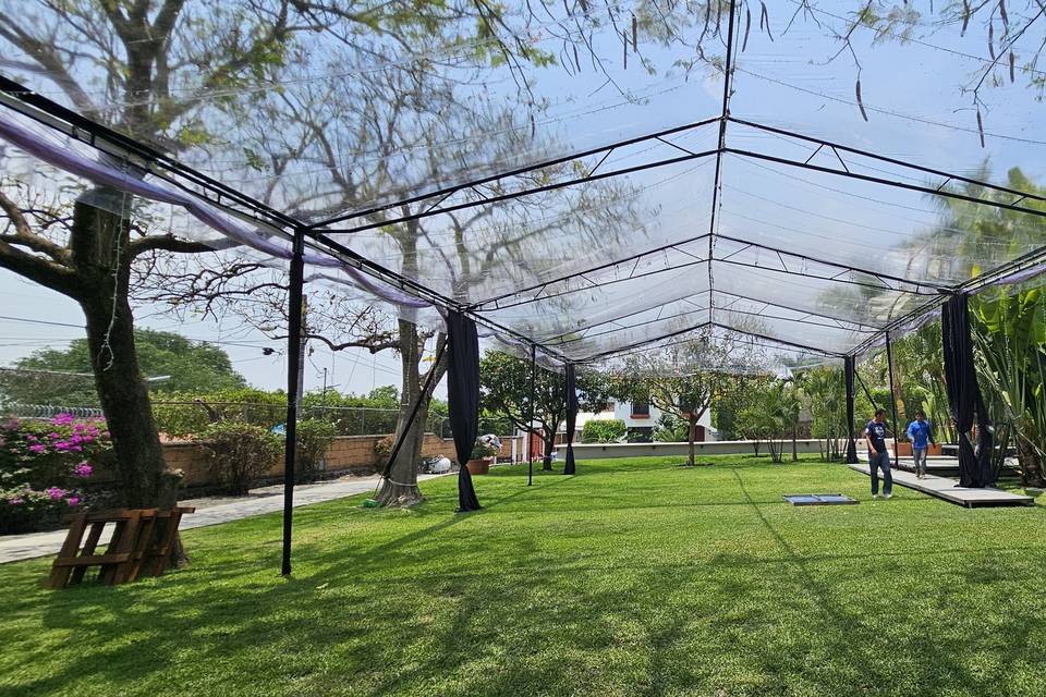 Carpa transparente