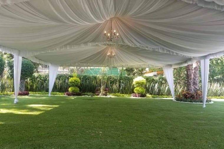 Carpa cielo arabe