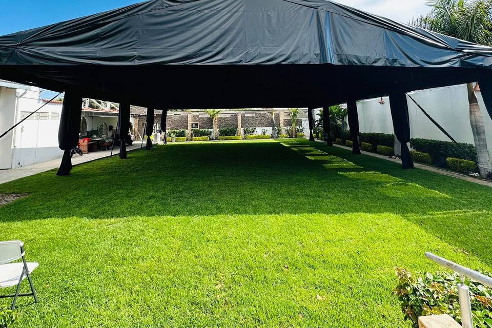 Carpa negra