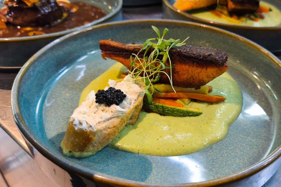 Salmon