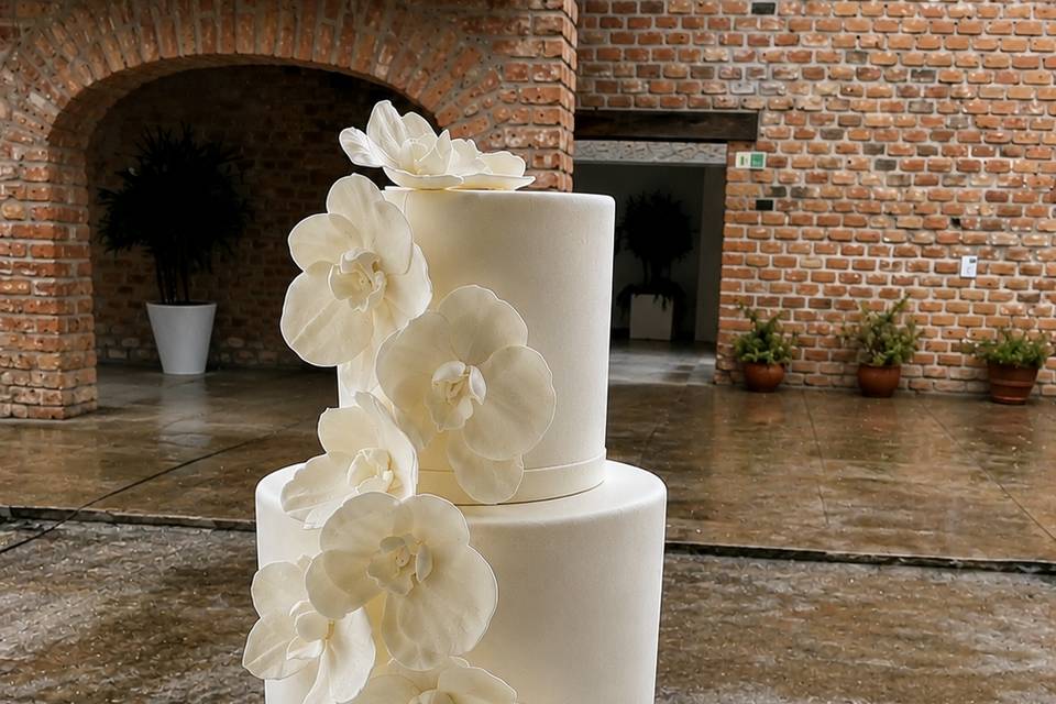Orquídeas de Fondant