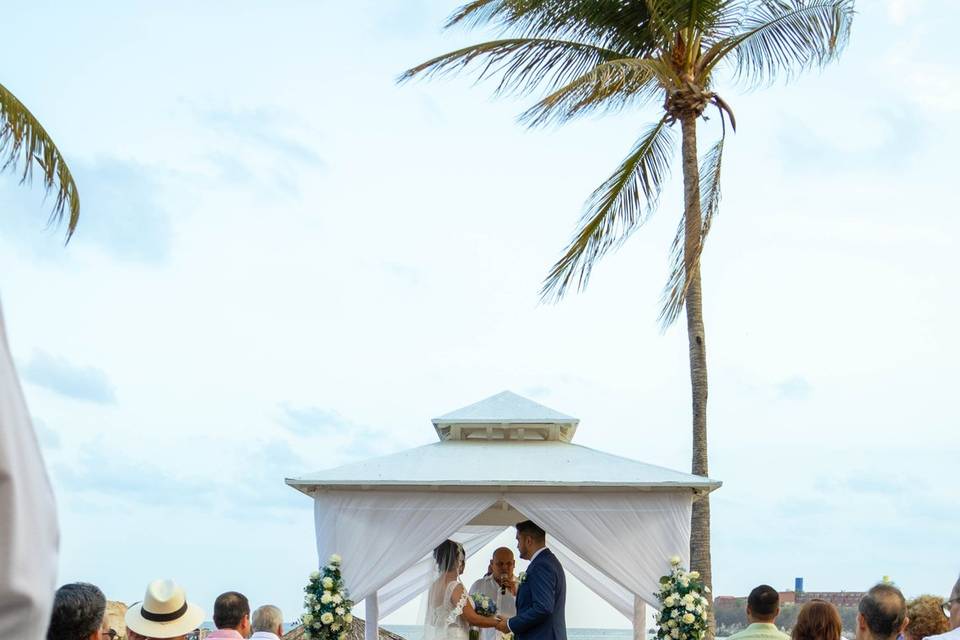 Ceremonia jardin