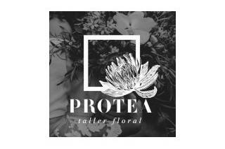 Protea Taller Floral