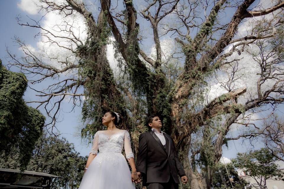 Trash the dress