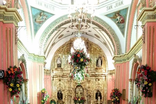 Bambús primaverales