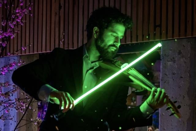 Violin led