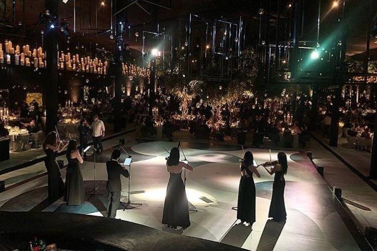 Ensamble de violines