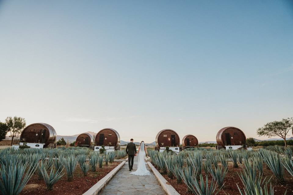 Bodas destino