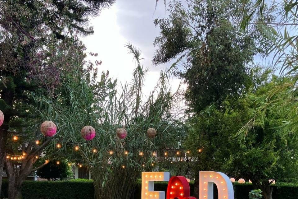 E 🩷 D