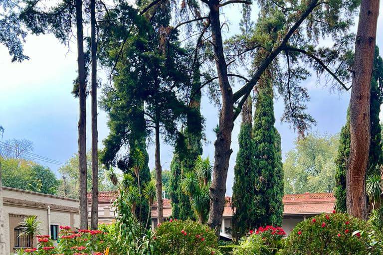 Centro Cultural Quinta Soledad