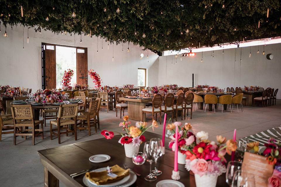 Salón Terraza