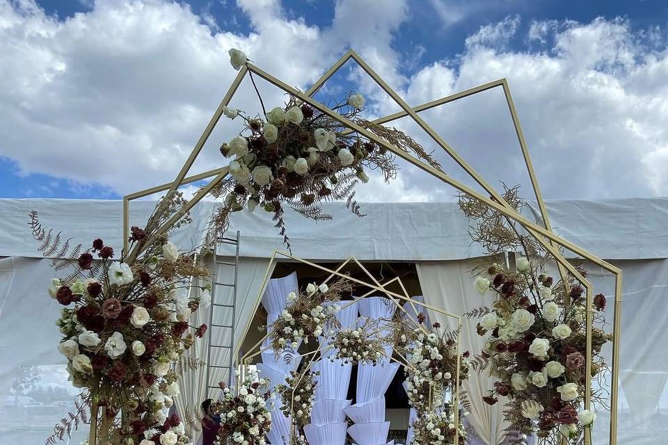 Estructura Arco Shani