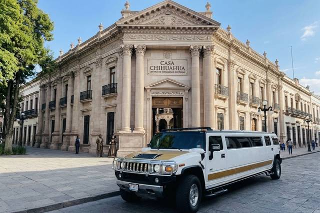 Casa de chihuahua