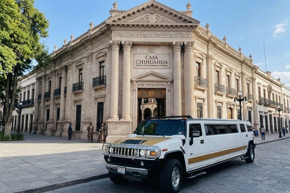 Casa de chihuahua