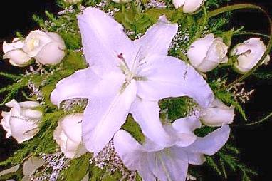 Ramo de novia (acercamiento)