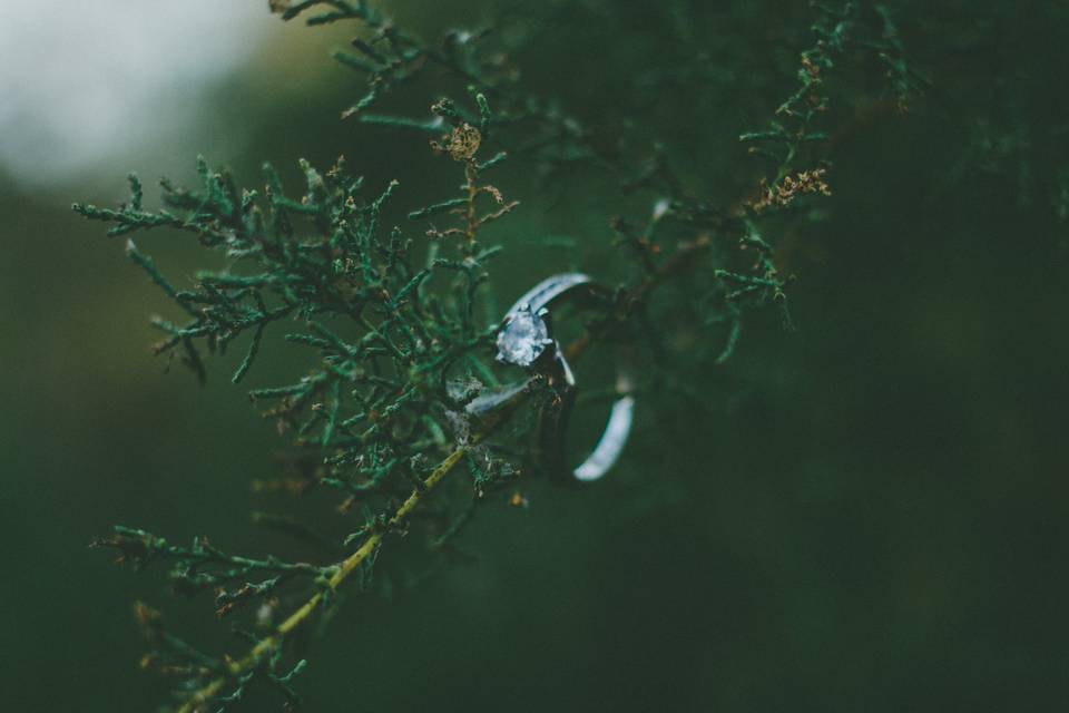 Bodas en baja california