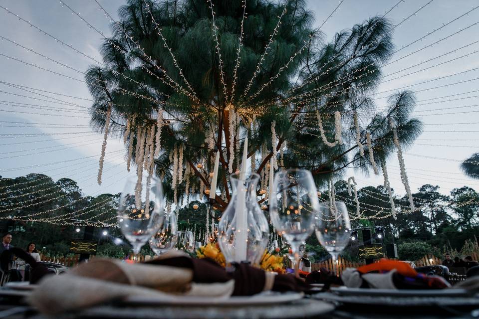 Fotografía de bodas