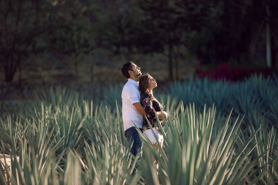 Fotografía de bodas