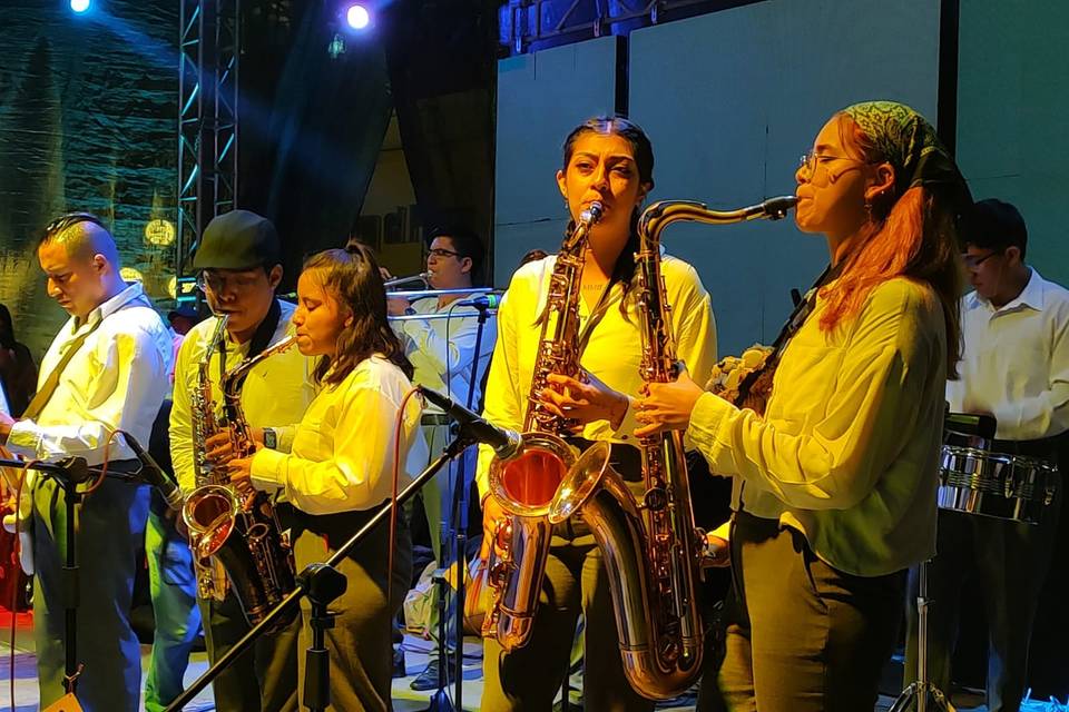 Saxofones Tenores