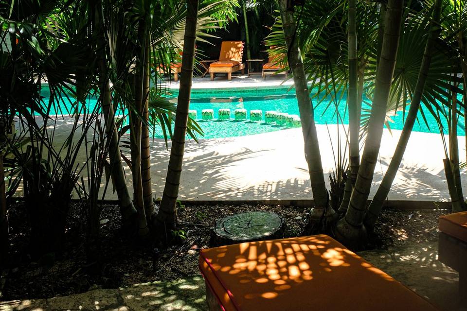 MAIN POOL