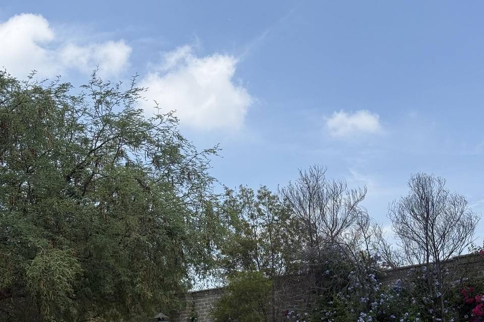 Austin Princess 1961