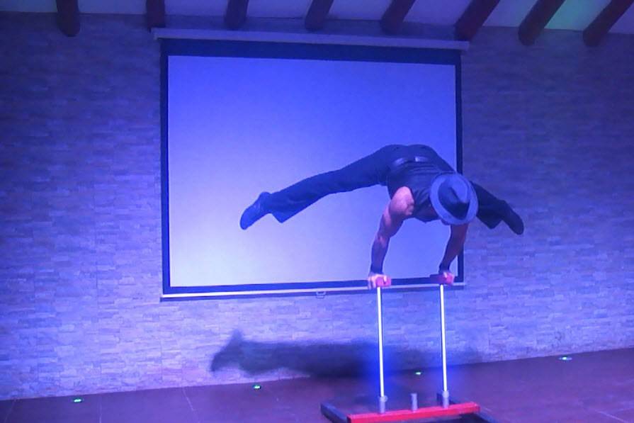 Performances acrobáticos