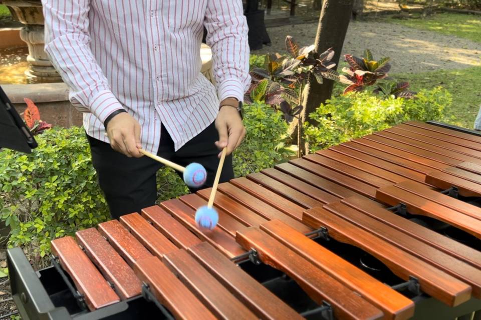 Marimba Moderna Pop