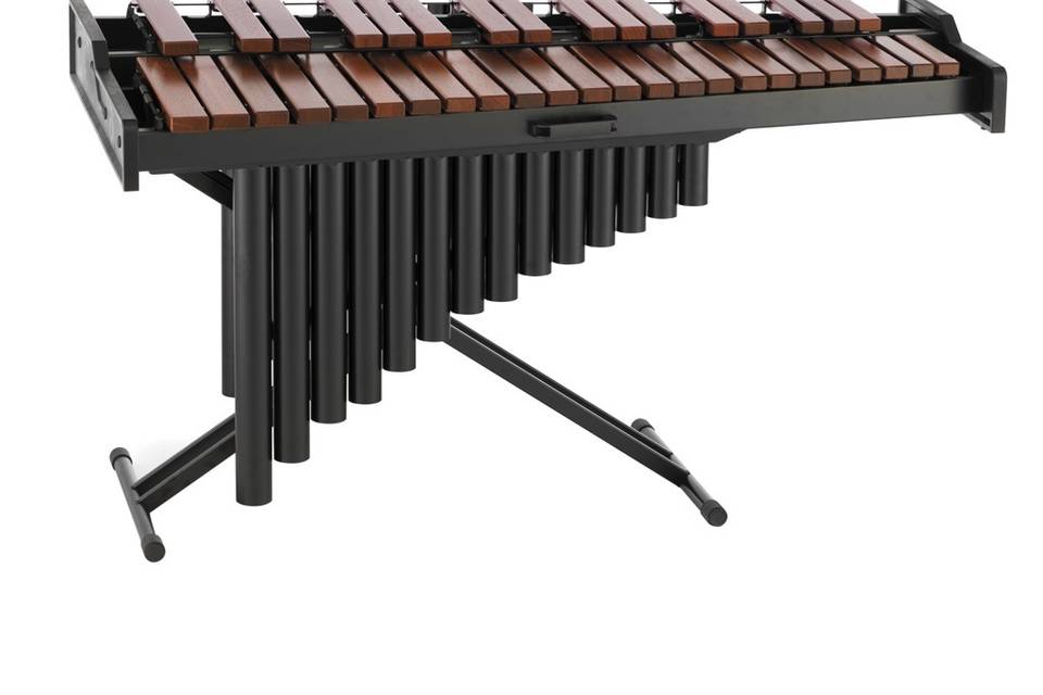 Marimba Moderna Pop