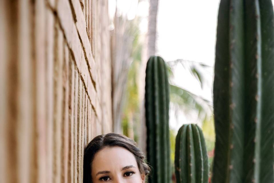 Novia
