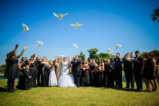 Hermosas Palomas Blancas Liberacion en Eventos